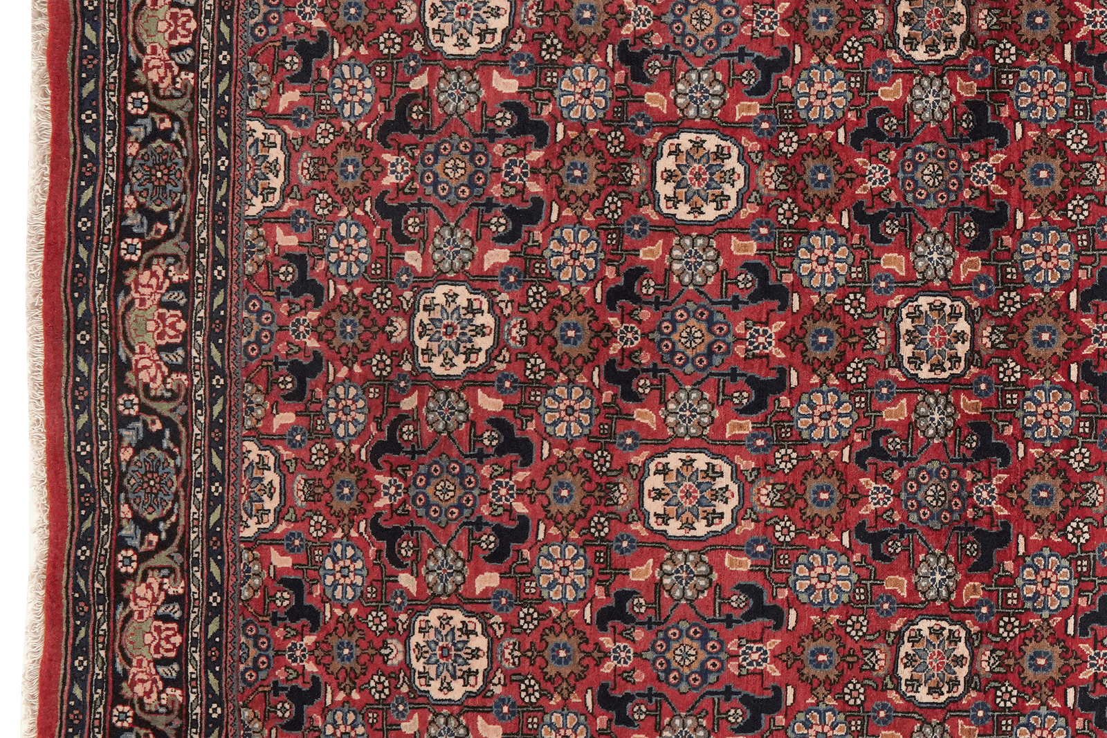 Bidjar — Hand-knotted, 138x217 cm, Red, 100% Virgin Wool | View 3