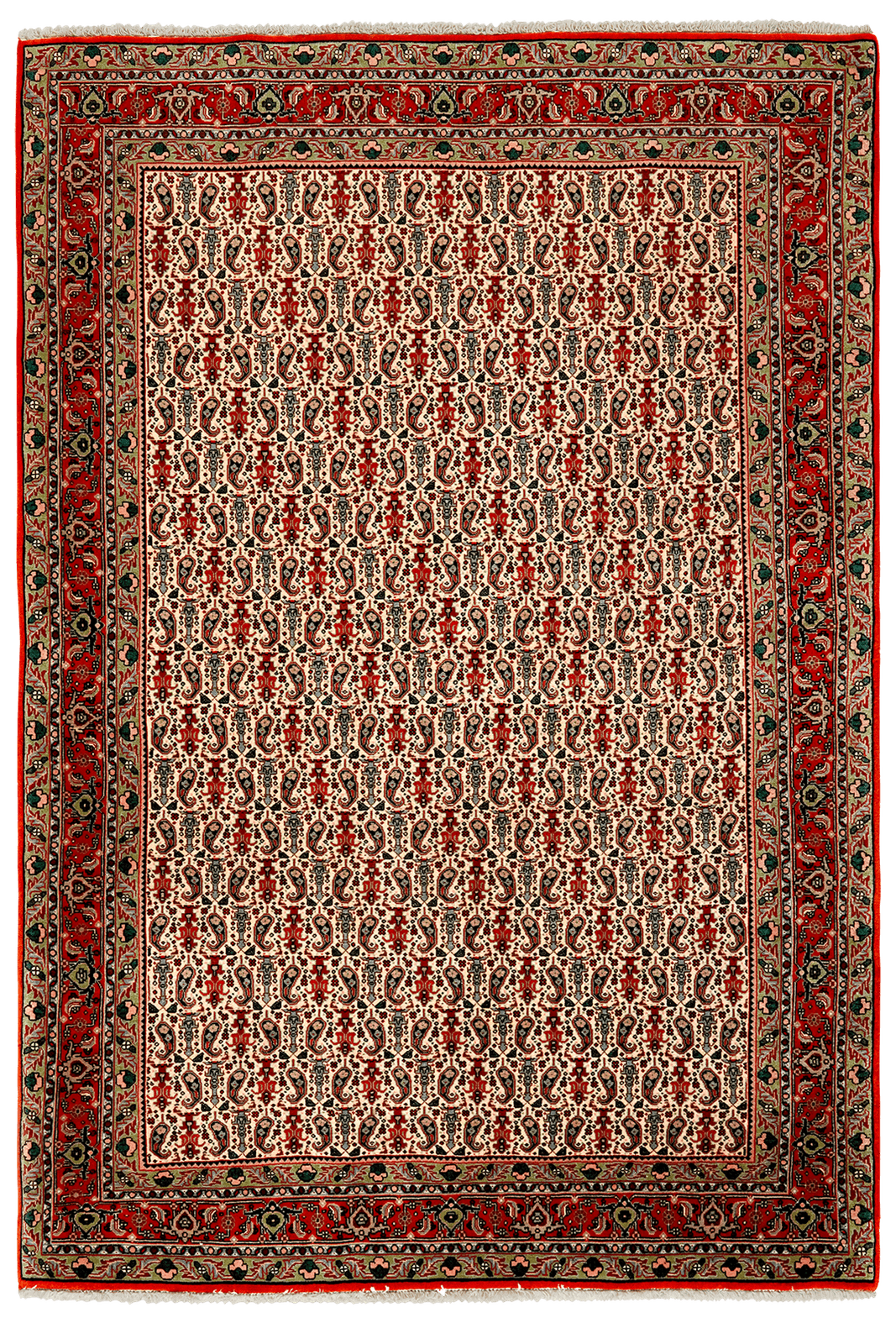 Bidjar — Hand-knotted, 117x166 cm, Beige, 100% Virgin Wool | Main view