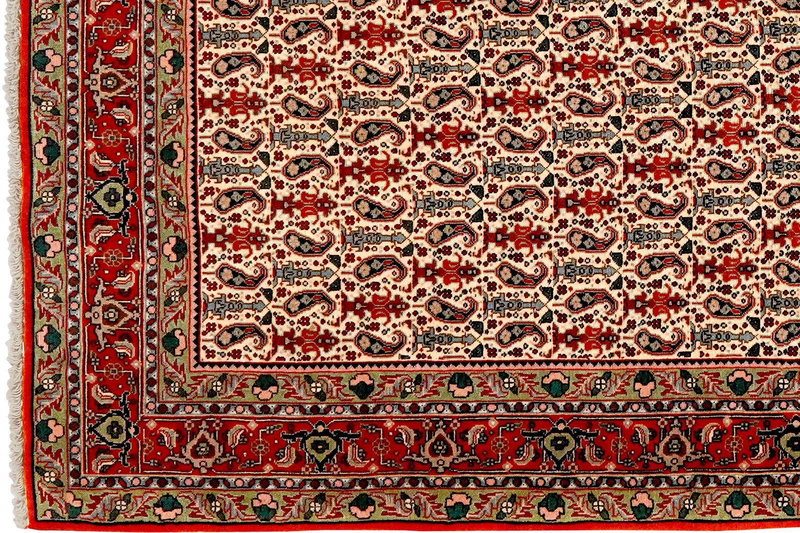 Bidjar — Hand-knotted, 117x166 cm, Beige, 100% Virgin Wool | View 3