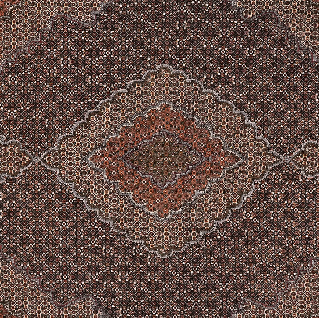 Tabriz 40 Raj — Hand-knotted, 249x340 cm, Black, 100% Virgin Wool | View 4