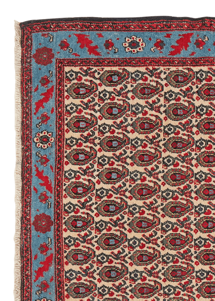 Senneh — Hand-knotted, 123x168 cm, Beige, 100% Virgin Wool | View 3