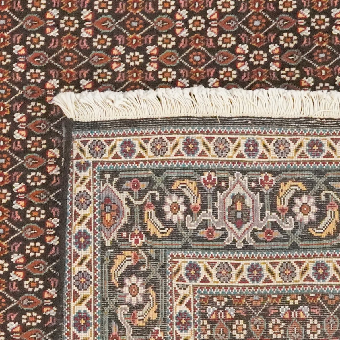 Tabriz 40 Raj — Hand-knotted, 115x182 cm, Blue, 95% Schurwolle, 5% Seide | View 6