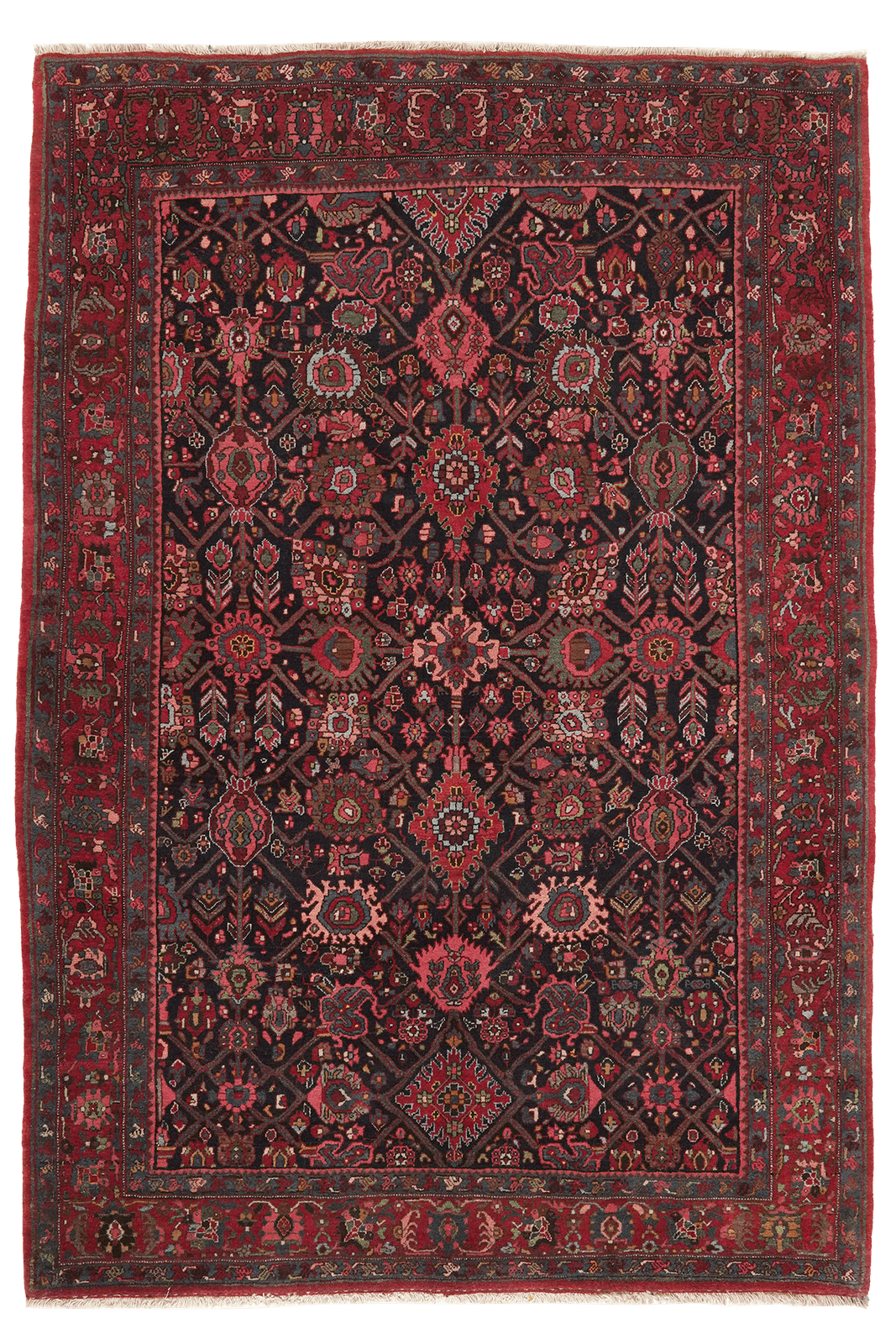 Bidjar — Hand-knotted, 146x212 cm, Blue, 100% Virgin Wool | Main view