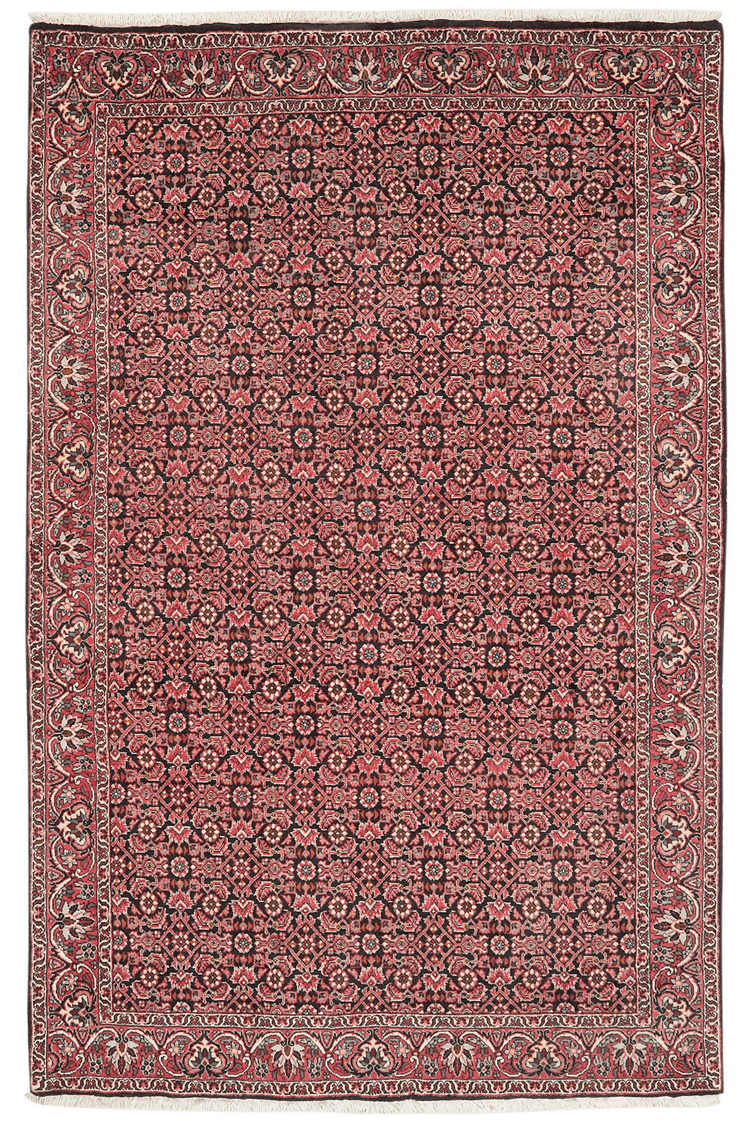 Bidjar — Hand-knotted, 112x174 cm, Blue, 100% Virgin Wool | Main view
