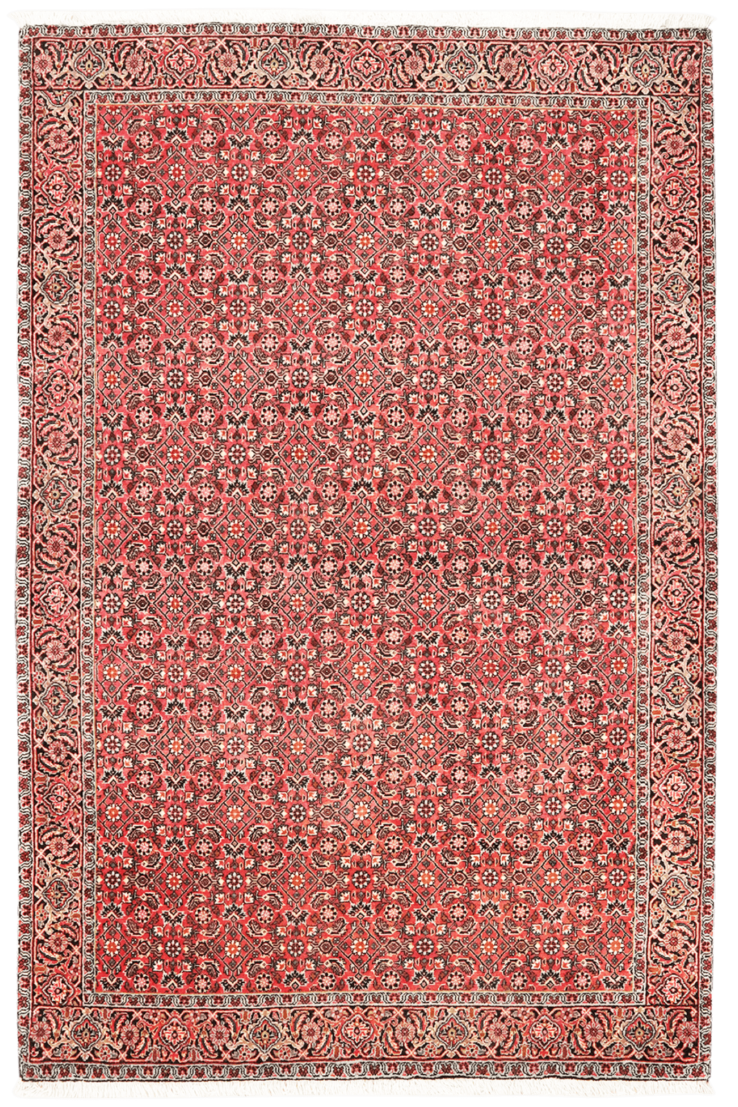 Bidjar — Hand-knotted, 111x176 cm, Red, 100% Virgin Wool | Main view