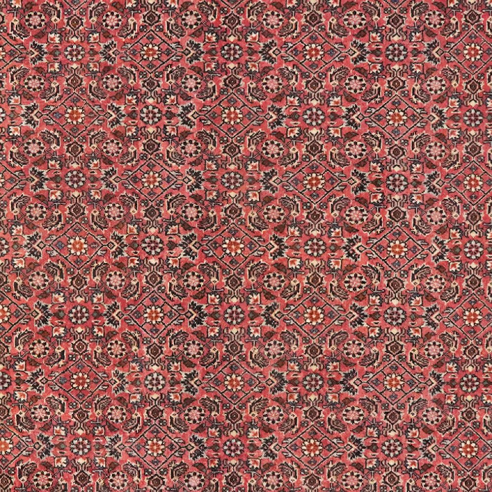 Bidjar — Hand-knotted, 111x176 cm, Red, 100% Virgin Wool | View 4