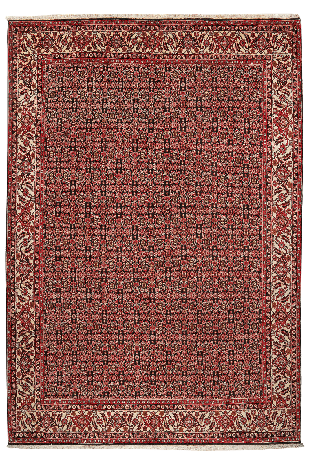 Bidjar Zandjan — Hand-knotted, 204x292 cm, Blue, 100% Virgin Wool | Main view
