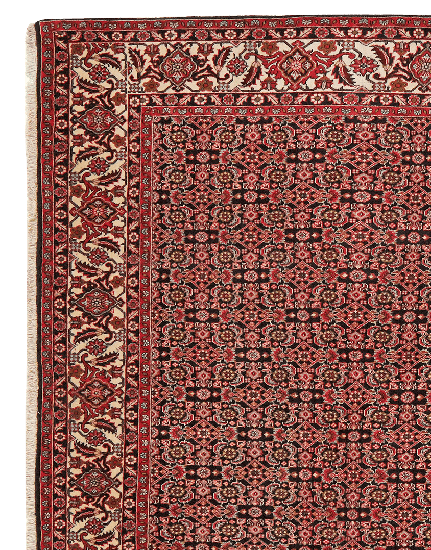 Bidjar Zandjan — Hand-knotted, 204x292 cm, Blue, 100% Virgin Wool | View 3