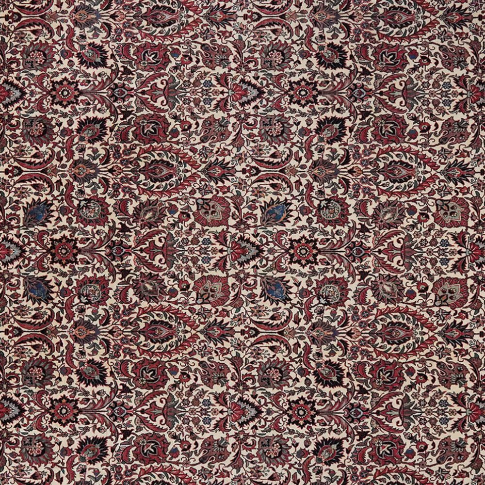 Bidjar Bookan — Hand-knotted, 251x345 cm, Beige, 100% Virgin Wool | View 4