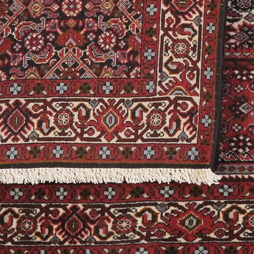 Bidjar Tekkab — Hand-knotted, 90x143 cm, Red, 100% Virgin Wool | View 6