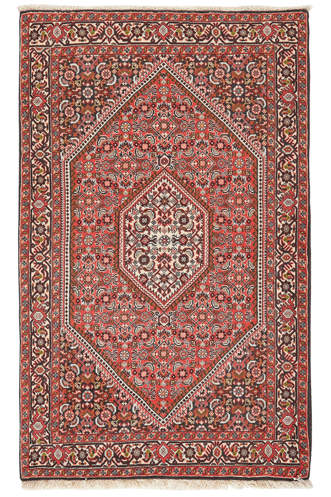 Bidjar Tekkab — Hand-knotted, 92x148 cm, Red, 100% Virgin Wool | Main view