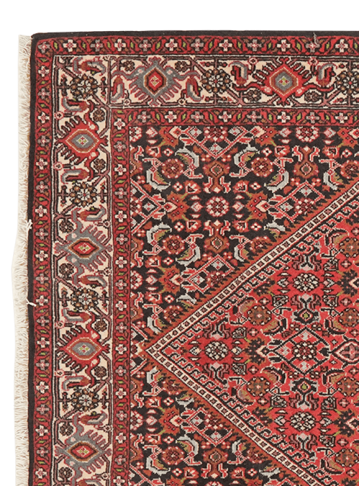 Bidjar Tekkab — Hand-knotted, 93x149 cm, Red, 100% Virgin Wool | View 3