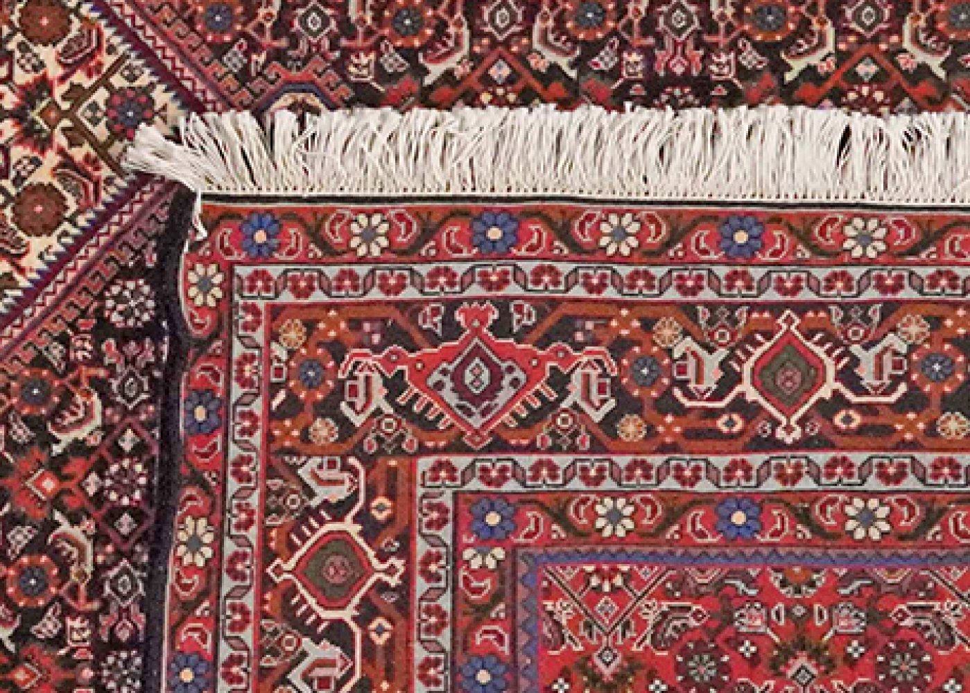 Bidjar — Hand-knotted, 208x298 cm, Blue, 100% Virgin Wool | View 6