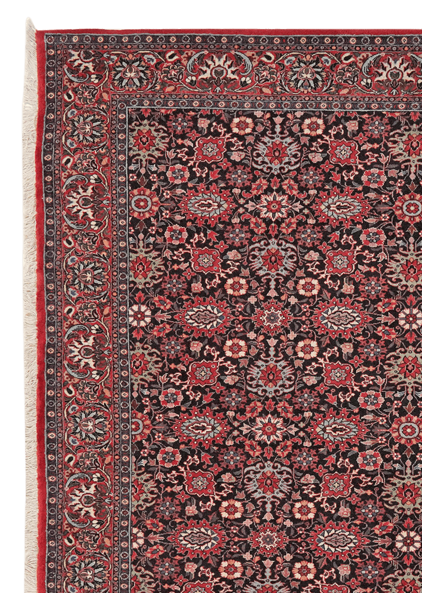 Bidjar — Hand-knotted, 202x200 cm, Blue, 100% Virgin Wool | View 3