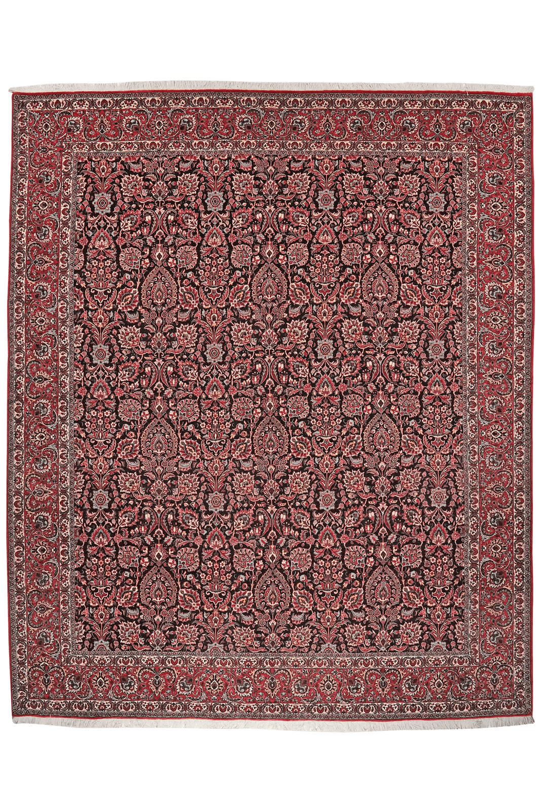 Bidjar — Hand-knotted, 255x308 cm, Blue, 100% Virgin Wool | Main view