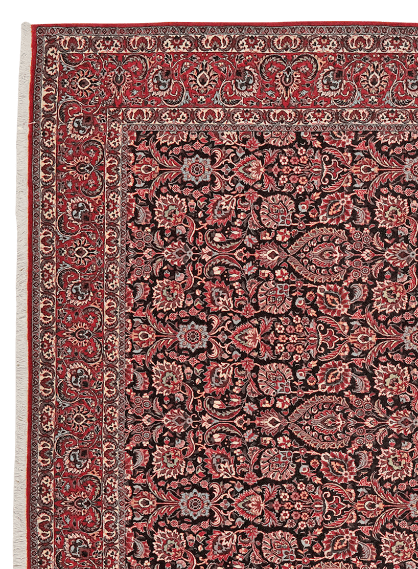 Bidjar — Hand-knotted, 255x308 cm, Blue, 100% Virgin Wool | View 3