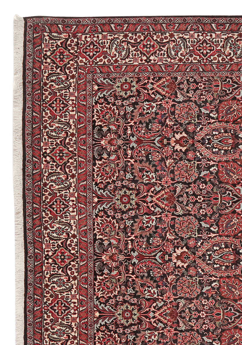 Bidjar — Hand-knotted, 205x213 cm, Blue, 100% Virgin Wool | View 3