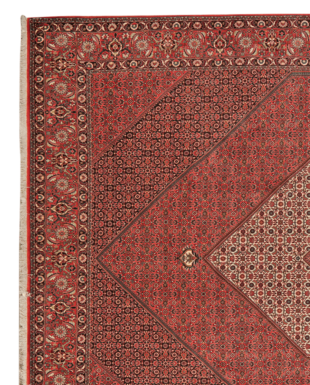 Bidjar — Hand-knotted, 302x402 cm, Red, 100% Virgin Wool | View 3