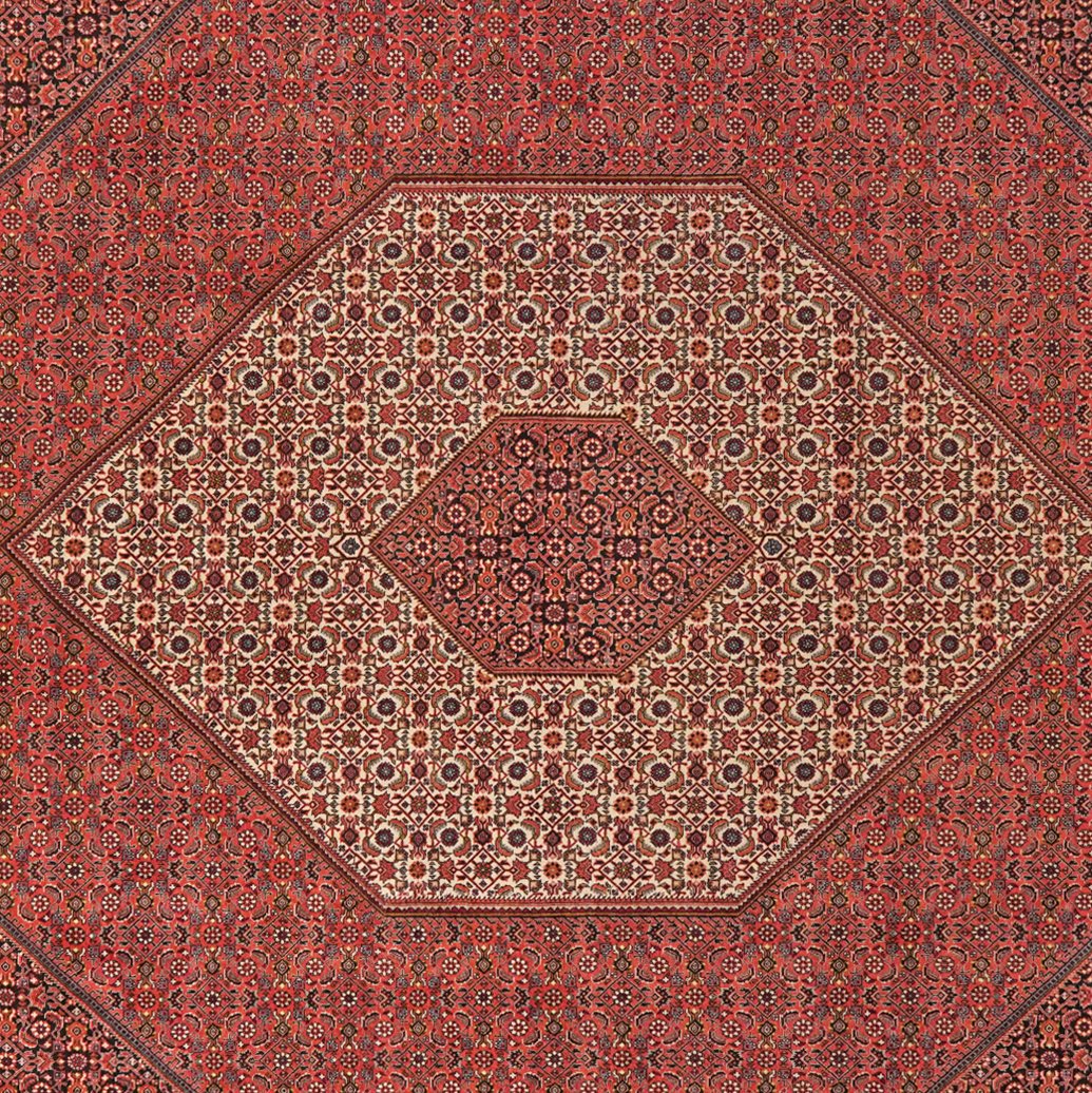 Bidjar — Hand-knotted, 302x402 cm, Red, 100% Virgin Wool | View 4