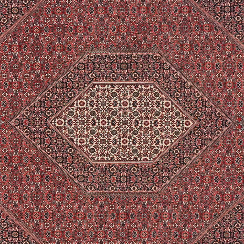 Bidjar — Hand-knotted, 255x259 cm, Red, 100% Virgin Wool | View 4