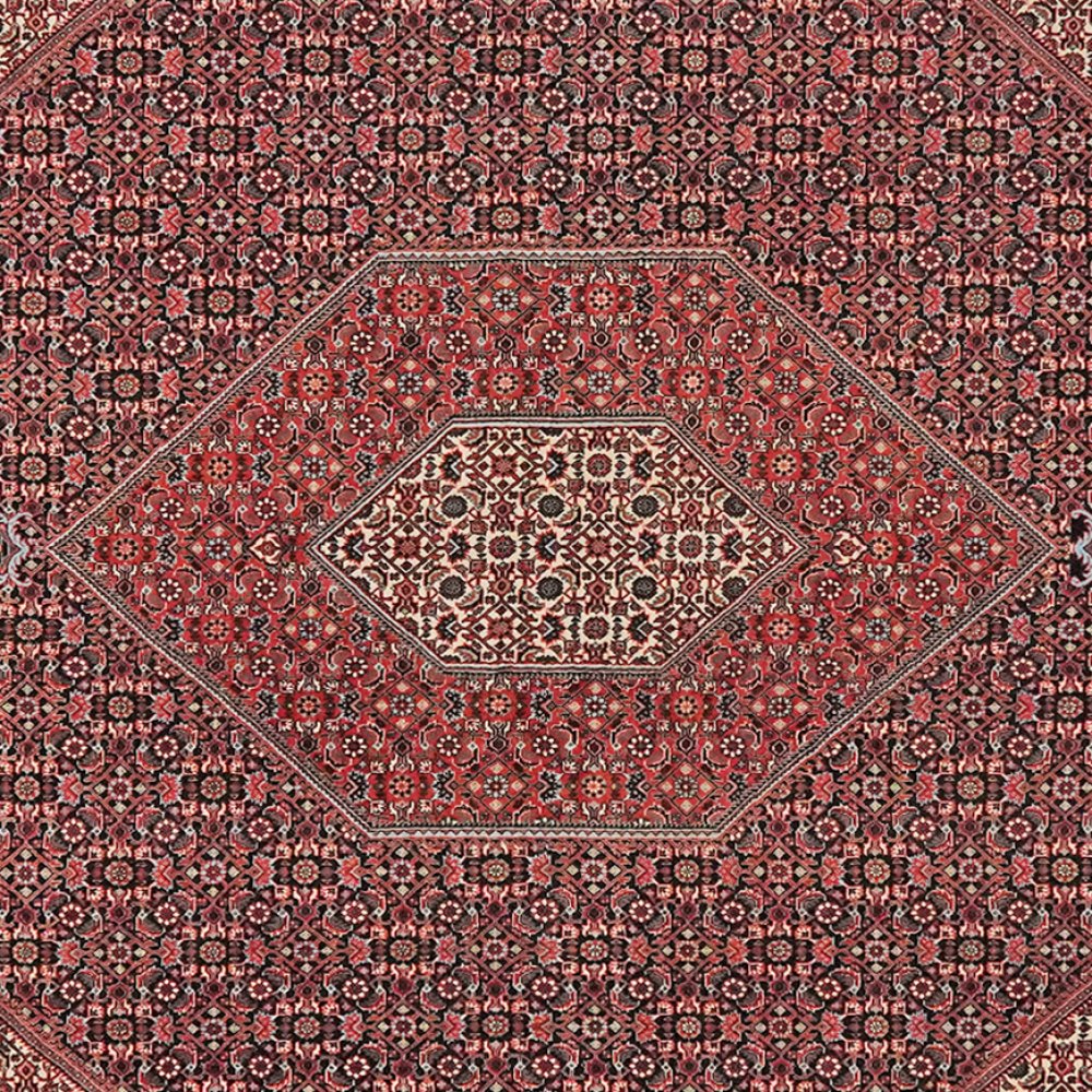 Bidjar — Hand-knotted, 257x303 cm, Blue, 100% Virgin Wool | View 4