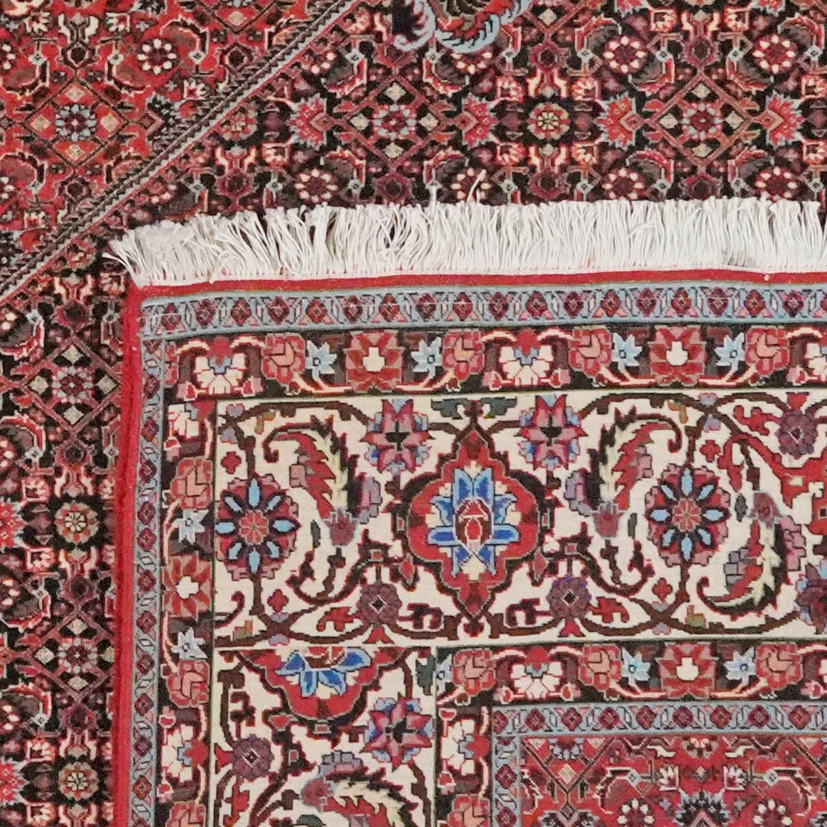 Bidjar — Hand-knotted, 257x303 cm, Blue, 100% Virgin Wool | View 6