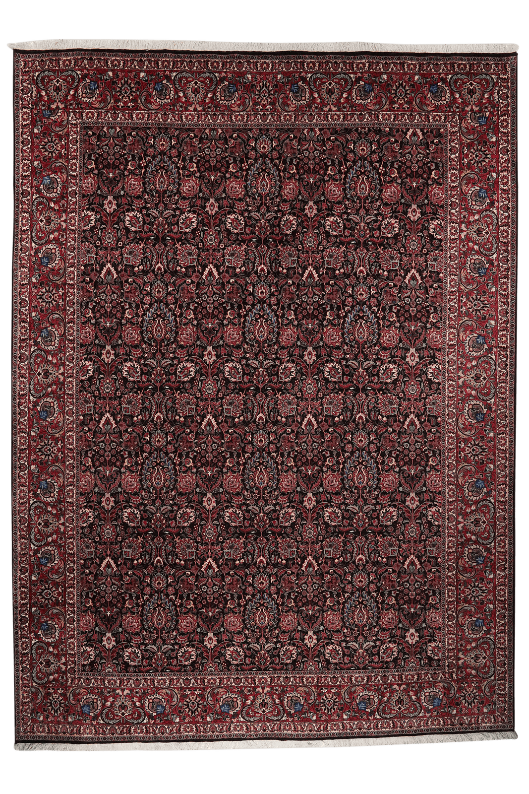Bidjar — Hand-knotted, 251x344 cm, Black, 100% Virgin Wool | Main view