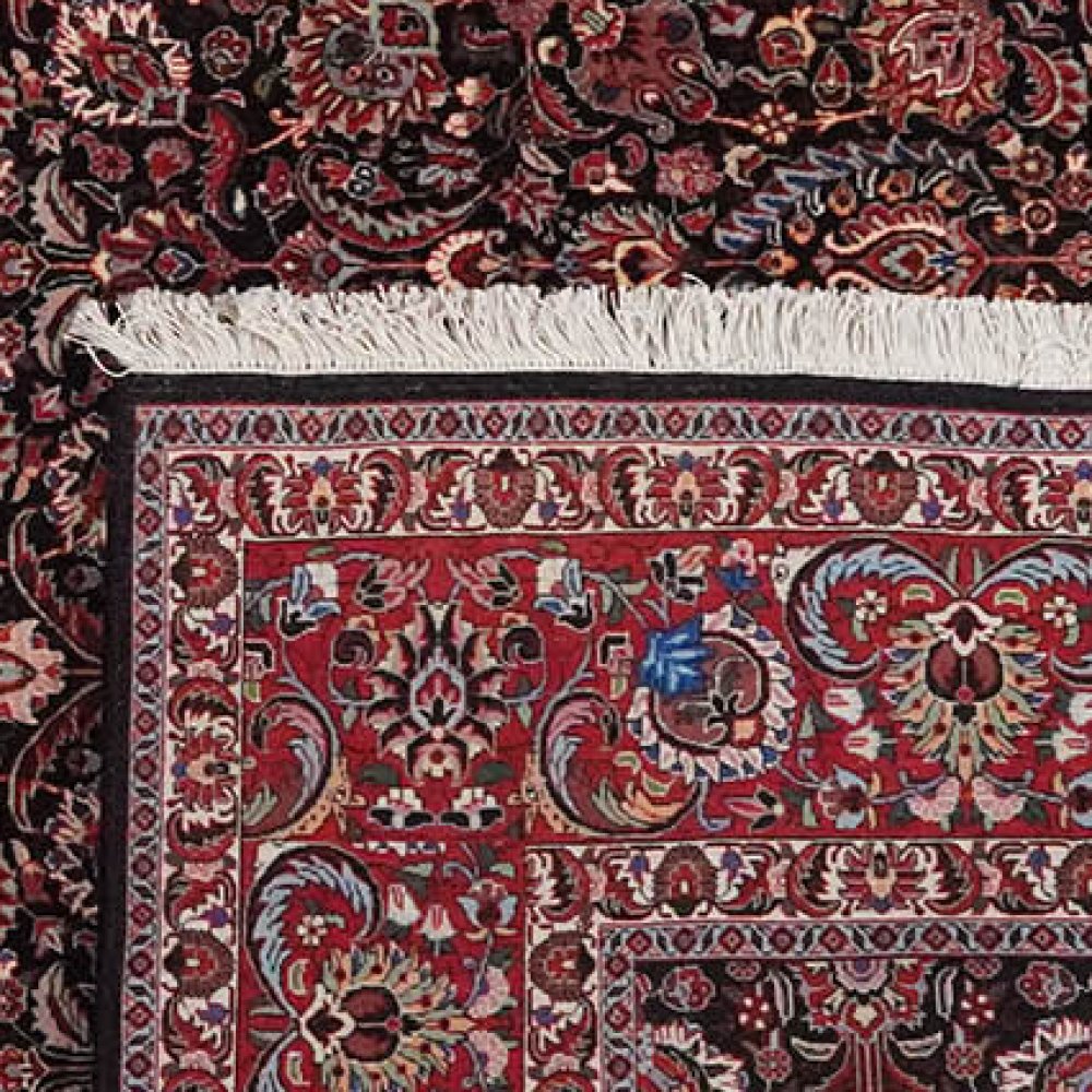 Bidjar — Hand-knotted, 251x344 cm, Black, 100% Virgin Wool | View 6