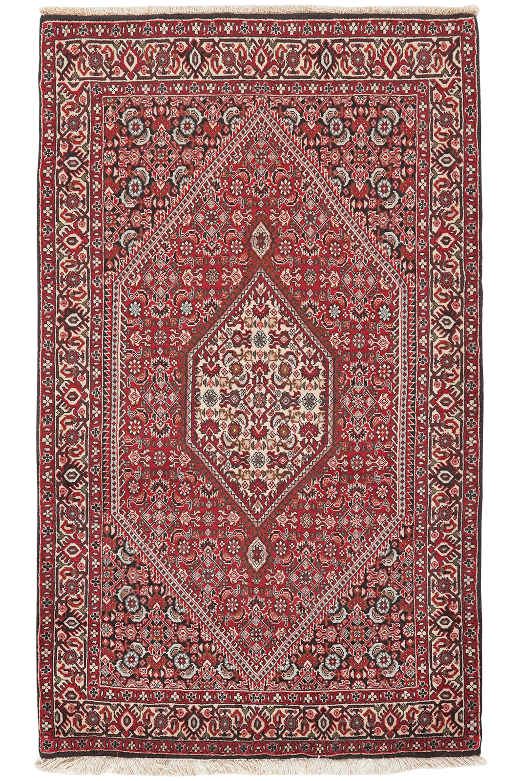 Bidjar Tekkab — Hand-knotted, 93x157 cm, Red, 100% Virgin Wool | Main view