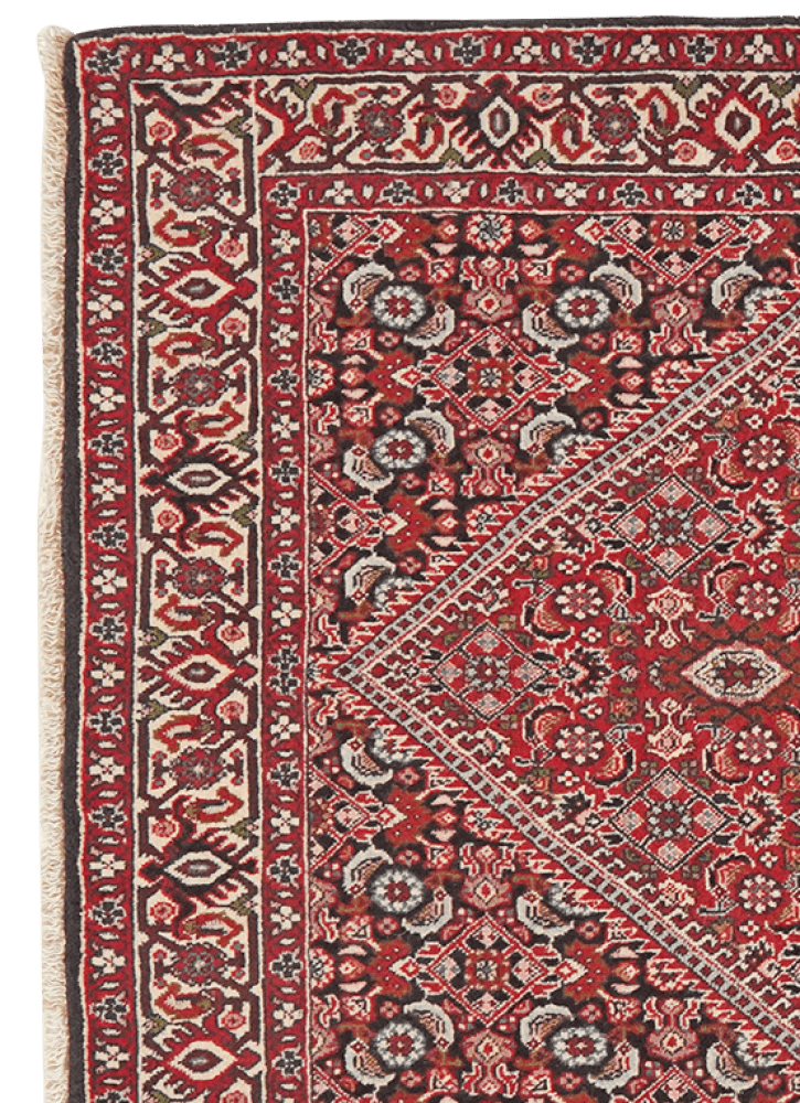 Bidjar Tekkab — Hand-knotted, 93x157 cm, Red, 100% Virgin Wool | View 3