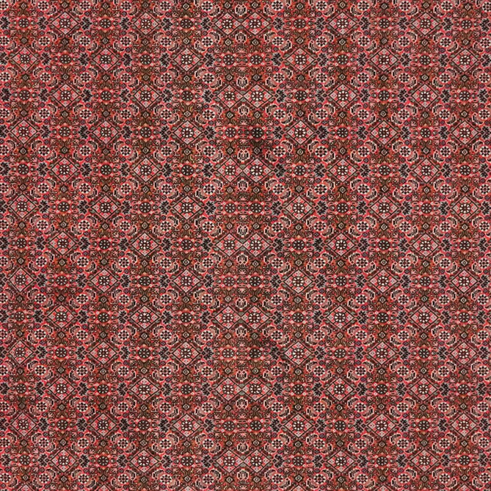 Bidjar — Hand-knotted, 255x303 cm, Red, 100% Virgin Wool | View 4