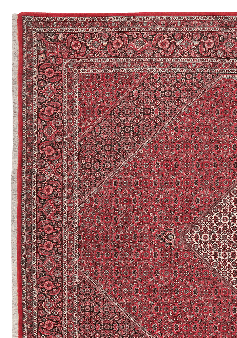 Bidjar — Hand-knotted, 255x314 cm, Red, 100% Virgin Wool | View 3