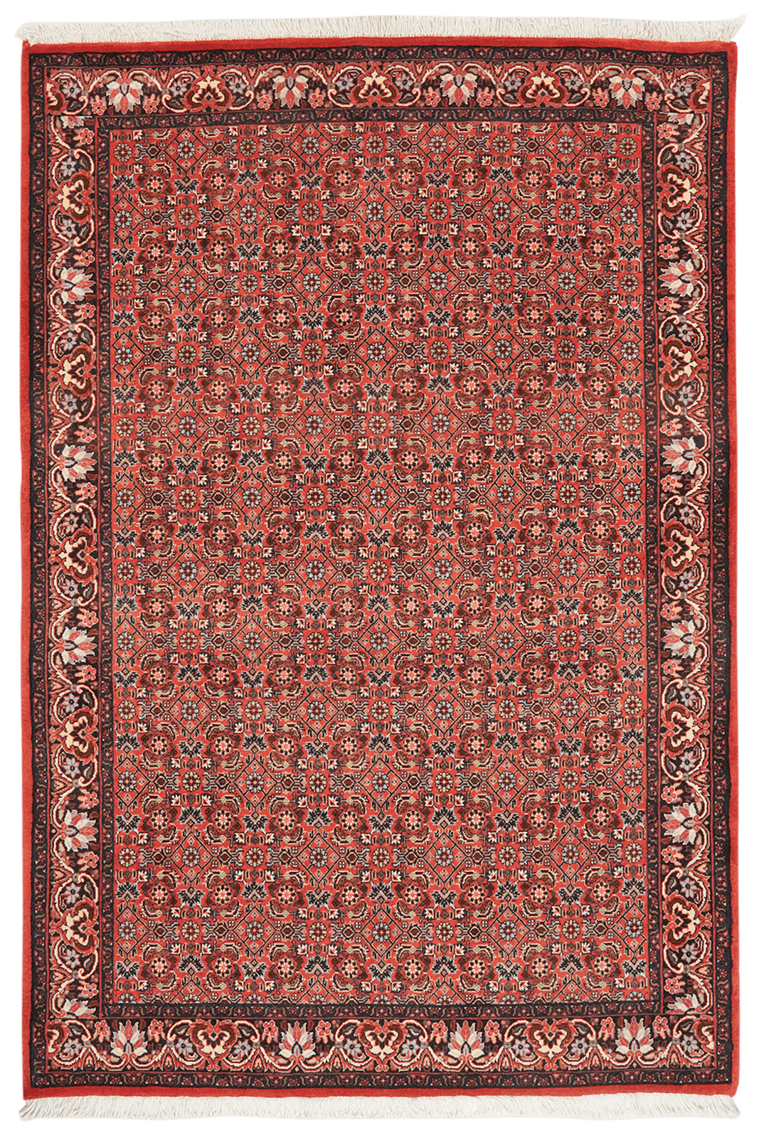 Bidjar — Hand-knotted, 112x168 cm, Red, 100% Virgin Wool | Main view