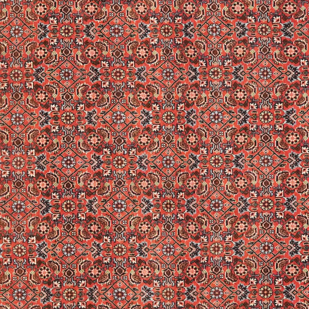 Bidjar — Hand-knotted, 112x168 cm, Red, 100% Virgin Wool | View 4