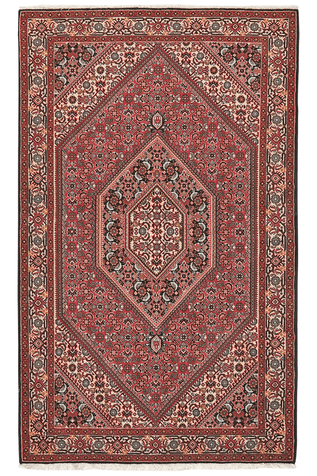 Bidjar — Hand-knotted, 111x185 cm, Red, 100% Virgin Wool | Main view