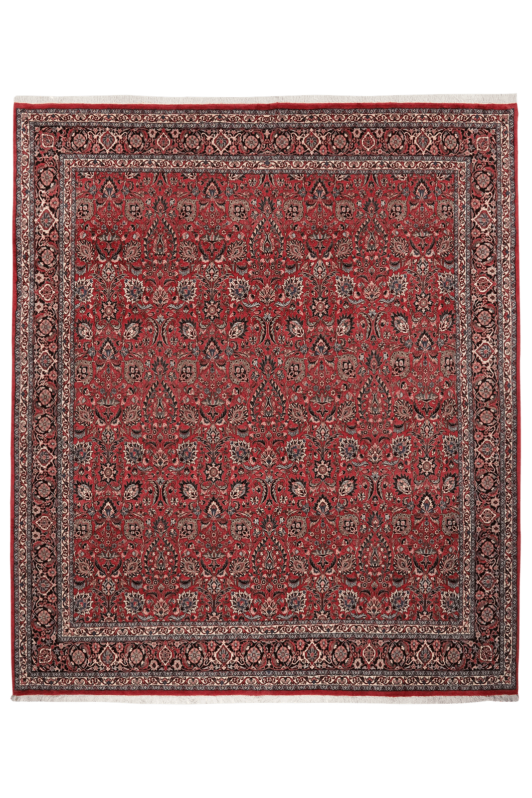 Bidjar — Hand-knotted, 254x298 cm, Red, 100% Virgin Wool | Main view