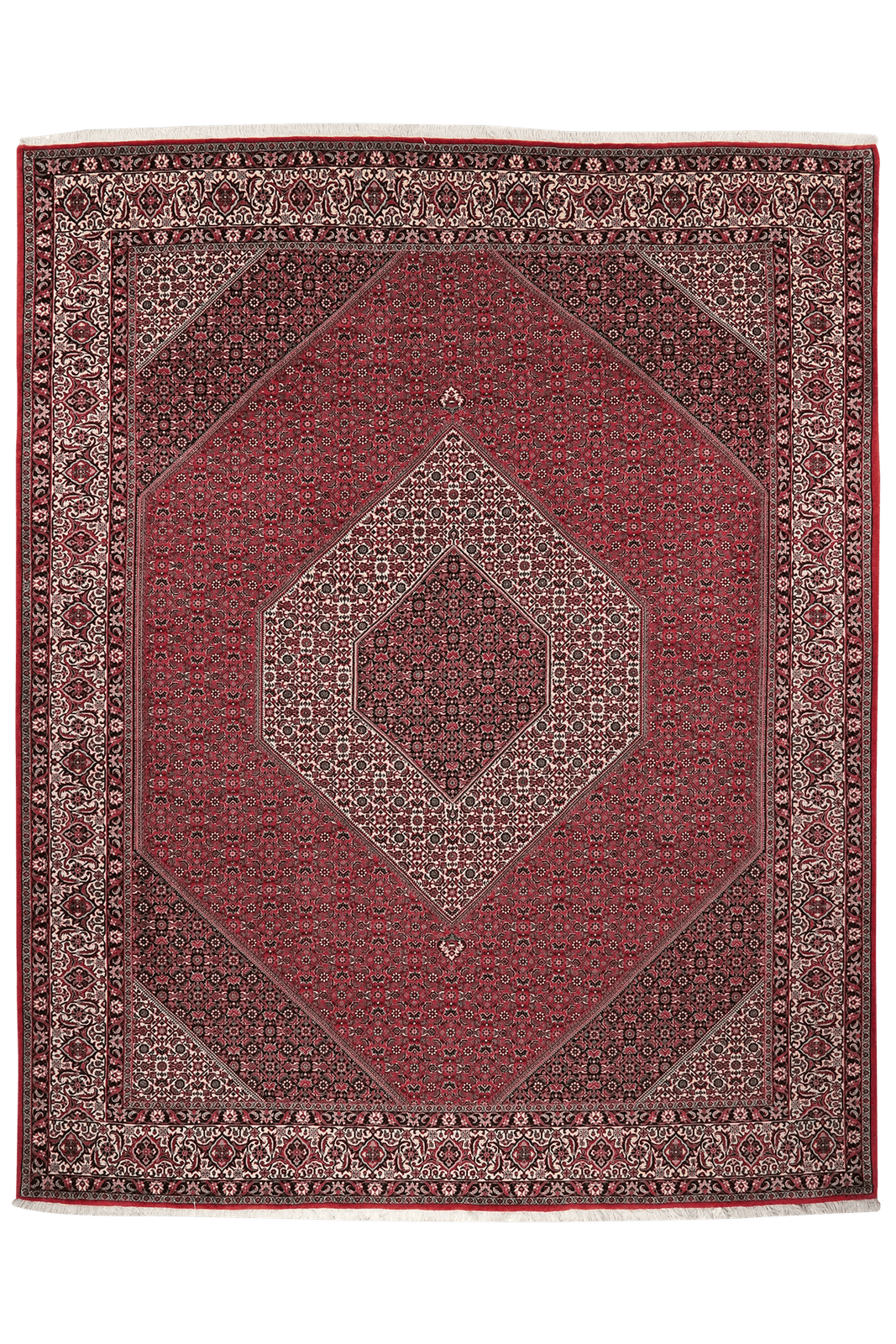 Bidjar — Hand-knotted, 248x303 cm, Red, 100% Virgin Wool | Main view