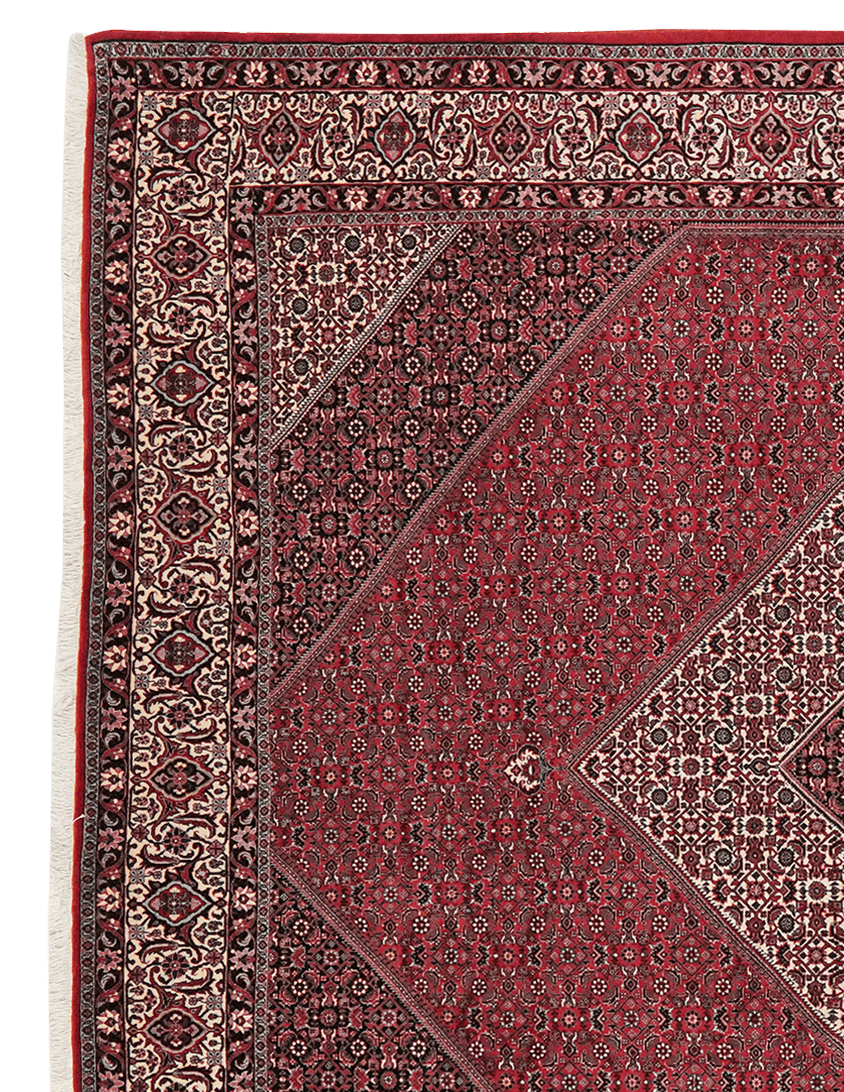 Bidjar — Hand-knotted, 248x303 cm, Red, 100% Virgin Wool | View 3