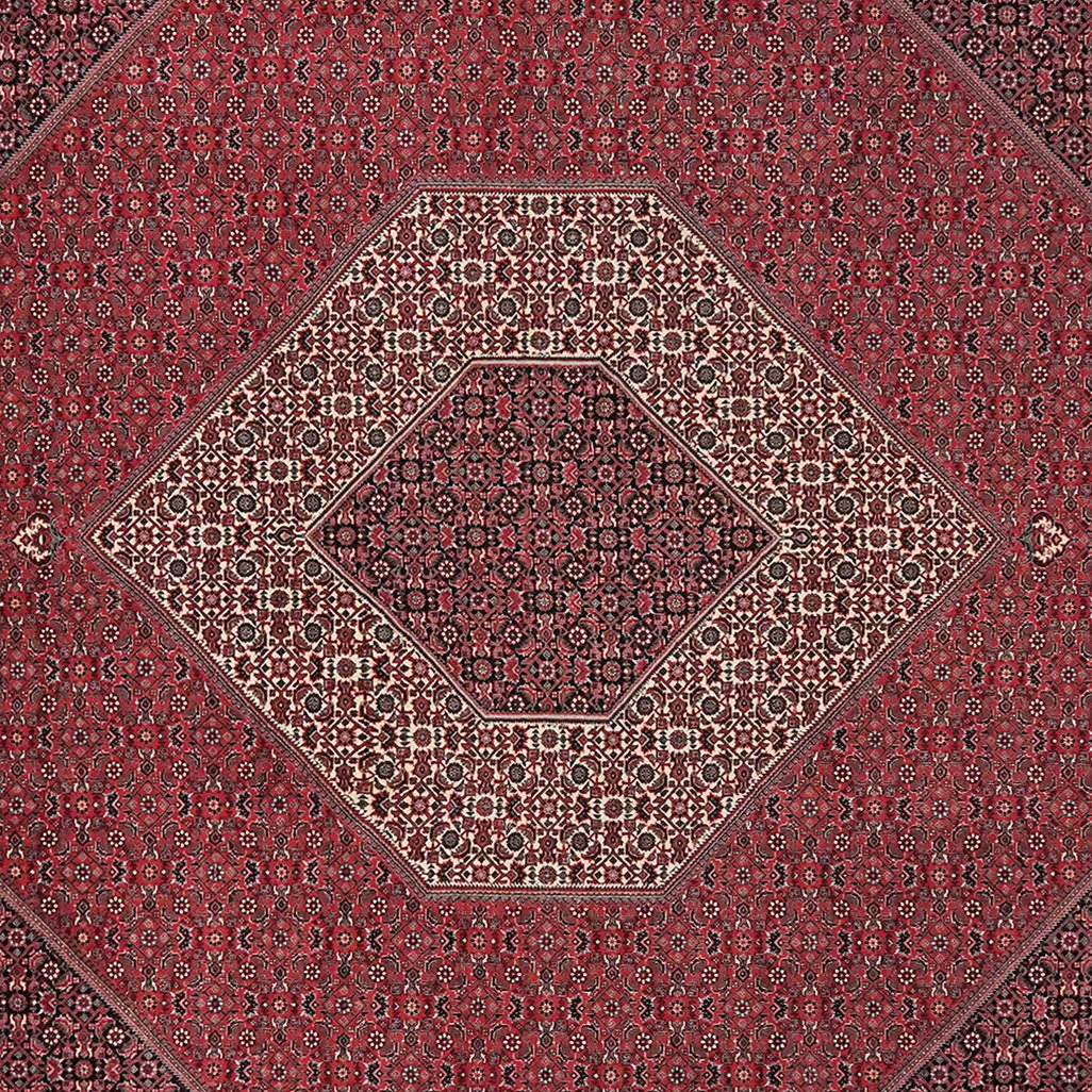 Bidjar — Hand-knotted, 248x303 cm, Red, 100% Virgin Wool | View 4