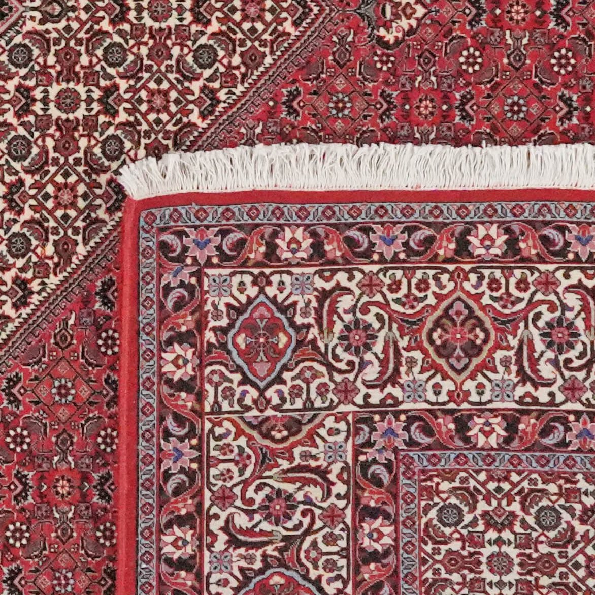 Bidjar — Hand-knotted, 248x303 cm, Red, 100% Virgin Wool | View 6