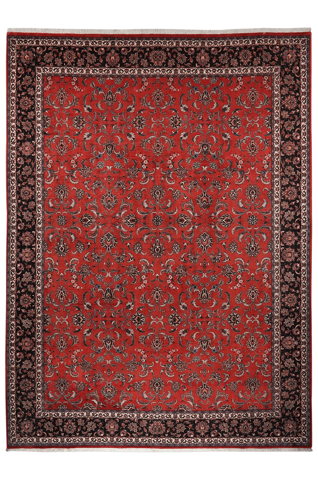 Bidjar — Hand-knotted, 254x352 cm, Red, 100% Virgin Wool | Main view