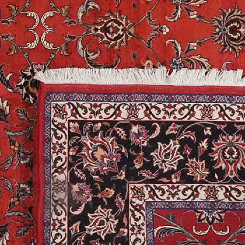 Bidjar — Hand-knotted, 254x352 cm, Red, 100% Virgin Wool | View 6