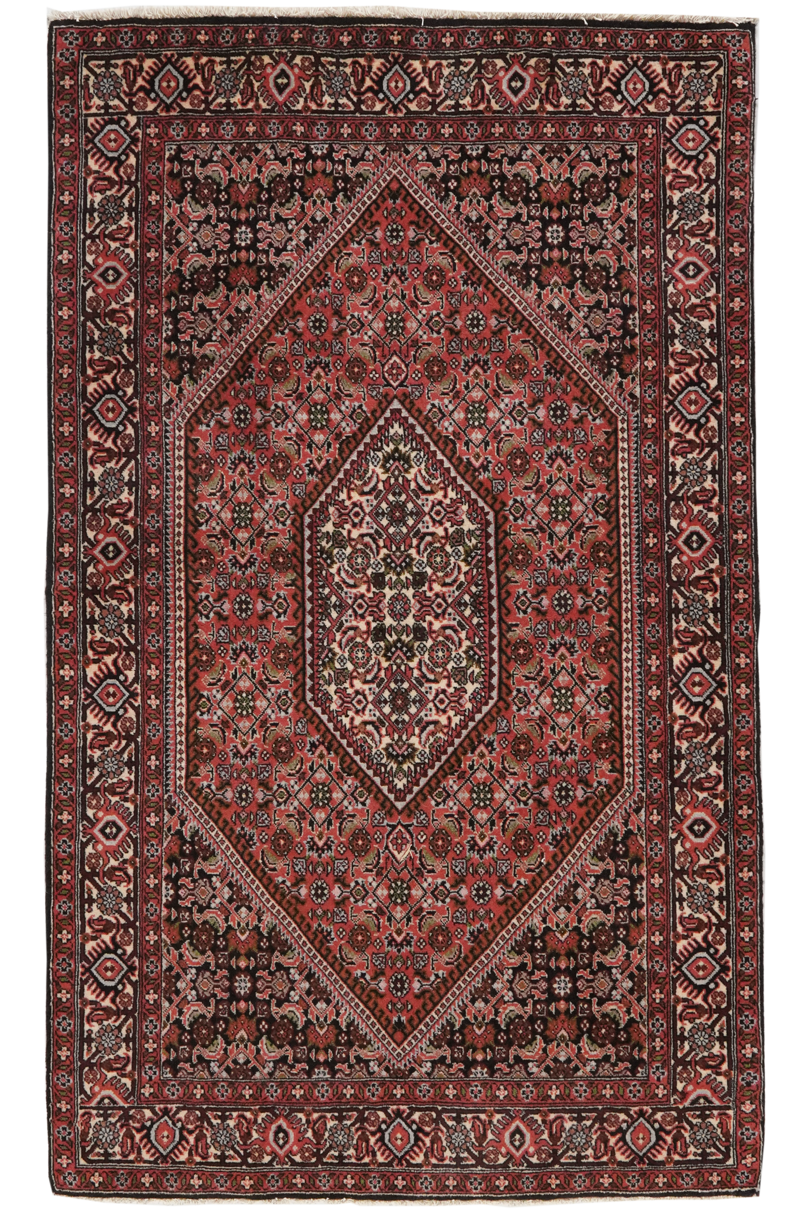 Bidjar Tekkab — Handgefertigt, 152x92 cm, Beige, 100% Virgin Wool | Main view