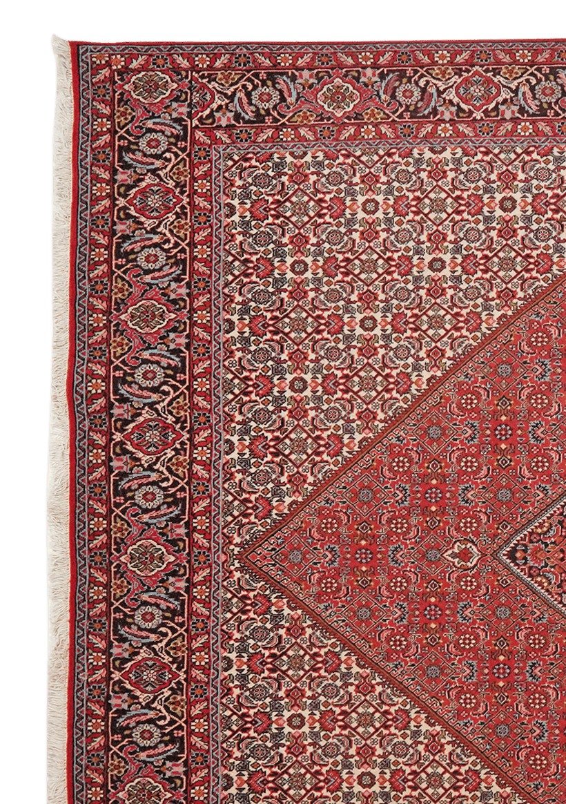 Bidjar Zandjan — Hand-knotted, 201x208 cm, Red, 100% Virgin Wool | View 3