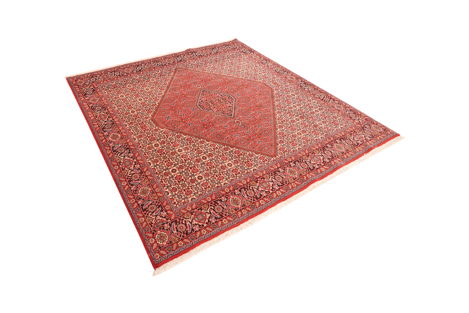 Bidjar Zandjan — Hand-knotted, 201x208 cm, Red, 100% Virgin Wool | View 5