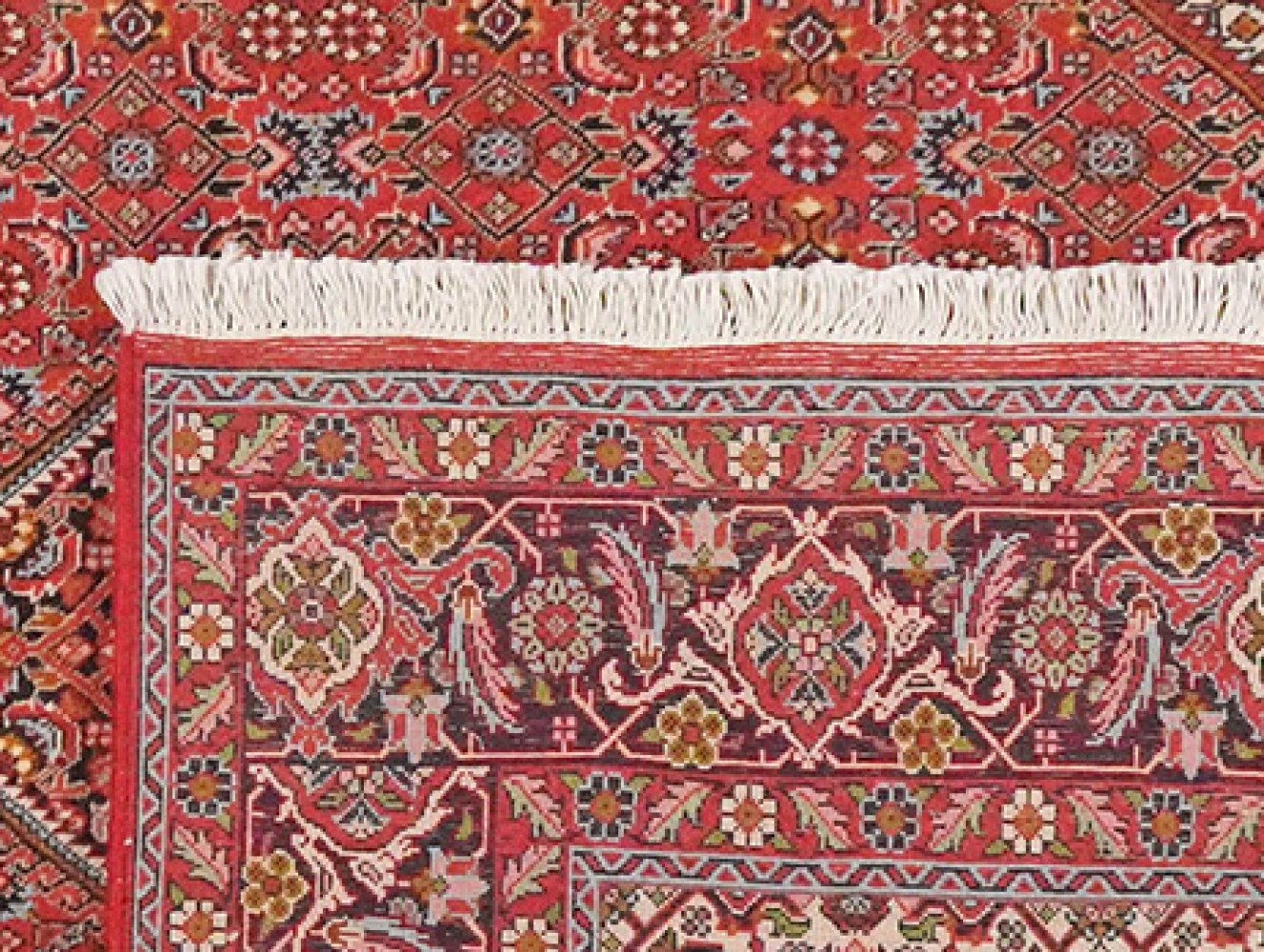 Bidjar Zandjan — Hand-knotted, 201x208 cm, Red, 100% Virgin Wool | View 6