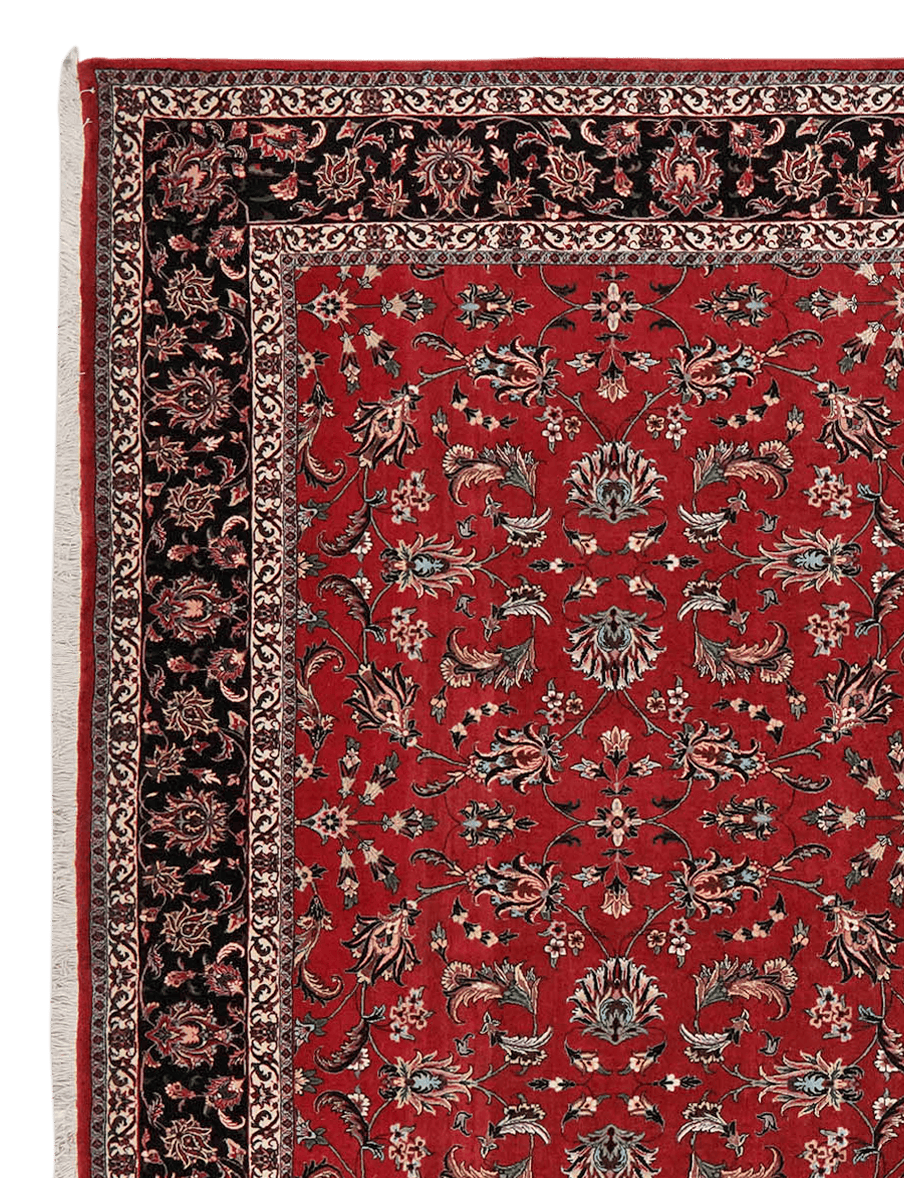 Bidjar — Hand-knotted, 250x347 cm, Red, 100% Virgin Wool | View 3