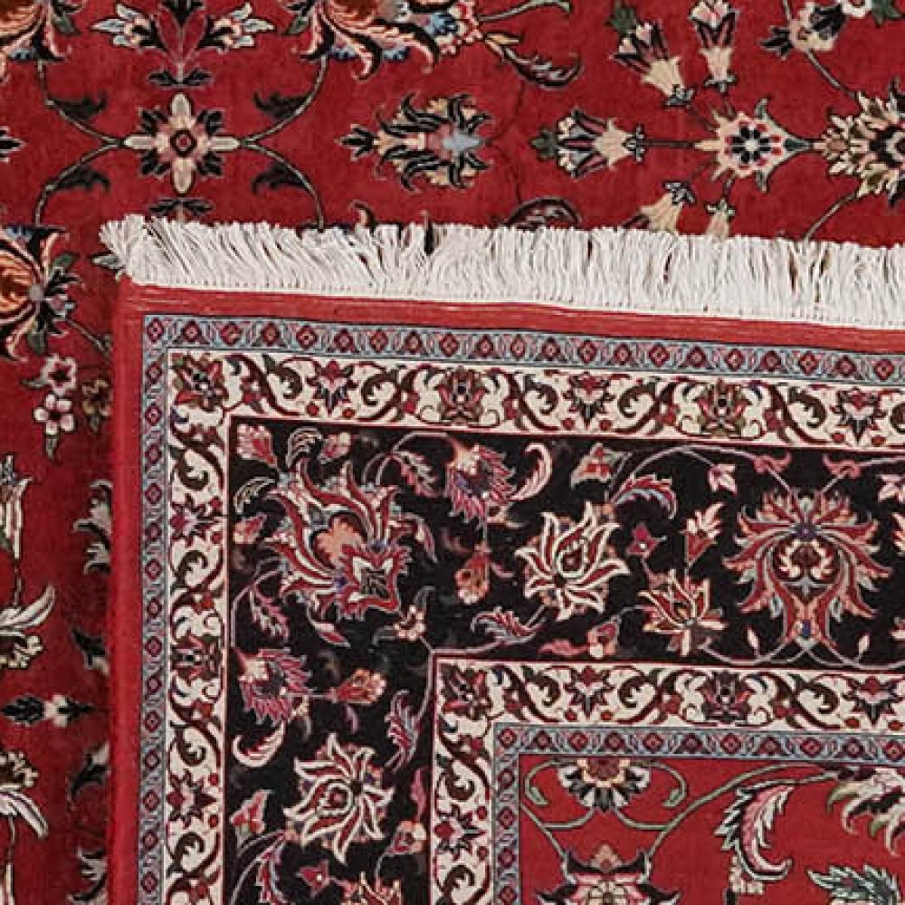 Bidjar — Hand-knotted, 250x347 cm, Red, 100% Virgin Wool | View 6