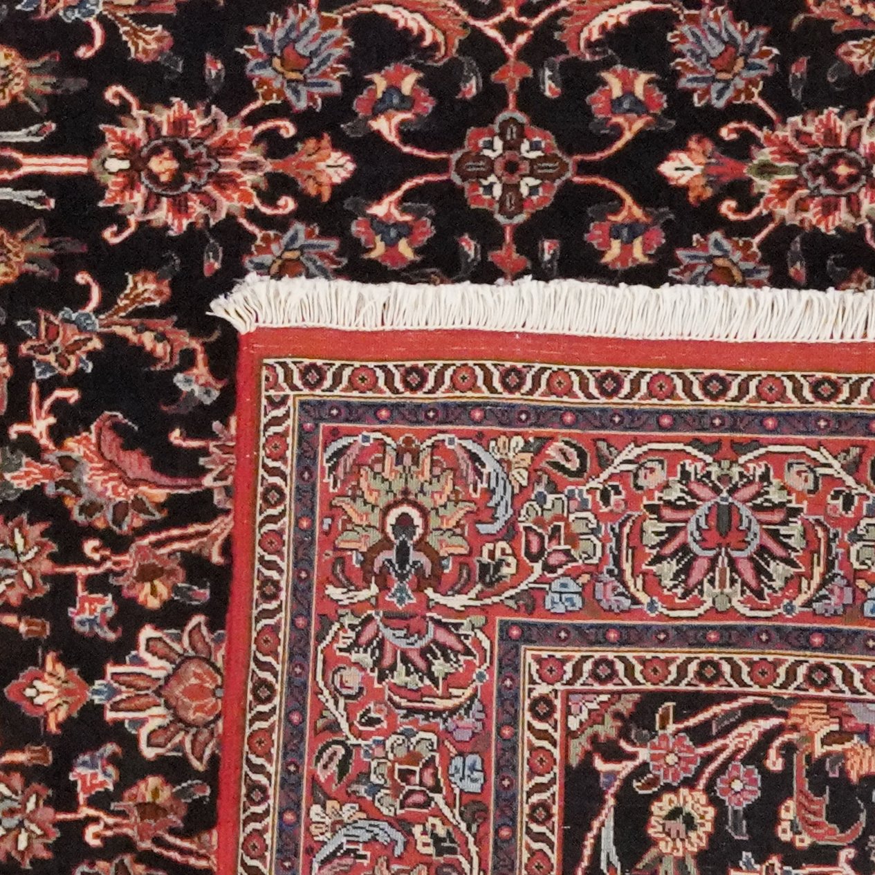 Bidjar — Hand-knotted, 162x224 cm, Blue, 100% Virgin Wool | View 6