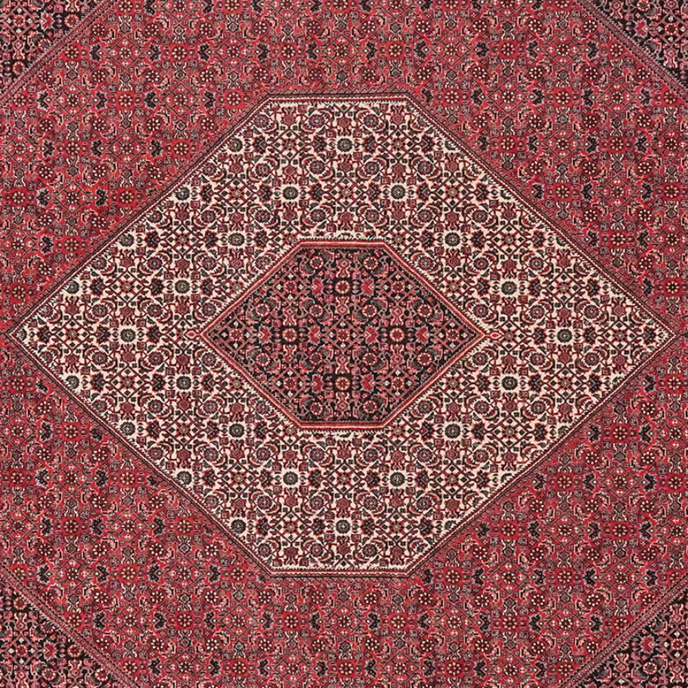 Bidjar — Hand-knotted, 255x299 cm, Red, 100% Virgin Wool | View 4